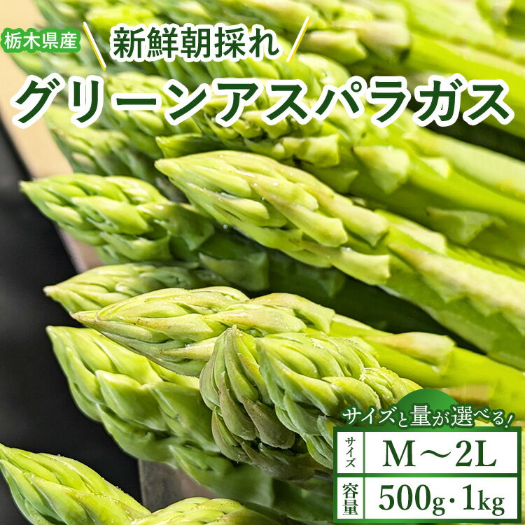 【ふるさと納税】【選べるサイズと容量】うえの農園の朝採りグリーンアスパラガス | 国産 栃木県産アスパラガス ※2025年6月より順次発送予定 ※離島への配送不可