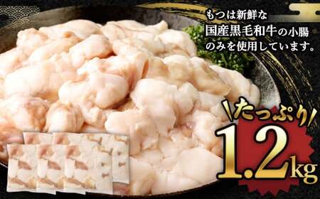 【1月発送】 国産牛もつ鍋 12人前 ちゃんぽん 濃縮スープ付（醤油味） もつ ホルモン 鍋 お鍋 セット 冷凍 岡垣町