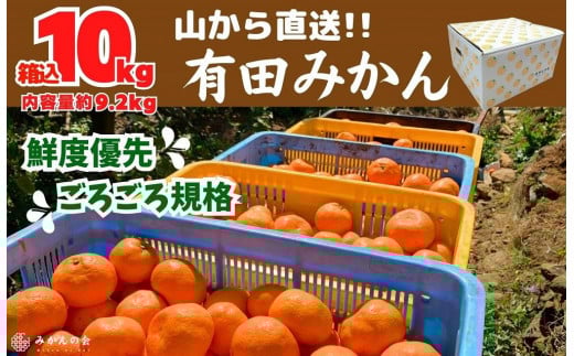 
            みかん 山から直送 箱込 10kg ( 内容量約 9.2kg ) 鮮度優先ごろごろ規格 和歌山県産 産地直送 家庭用［2025年11月中旬より2026年1月中旬頃順次出荷予定］［みかんの会］みかん 果物 みかん フルーツ みかん 和歌山 みかん 柑橘類 みかん 和歌山県産 みかん 有田 みかん
          