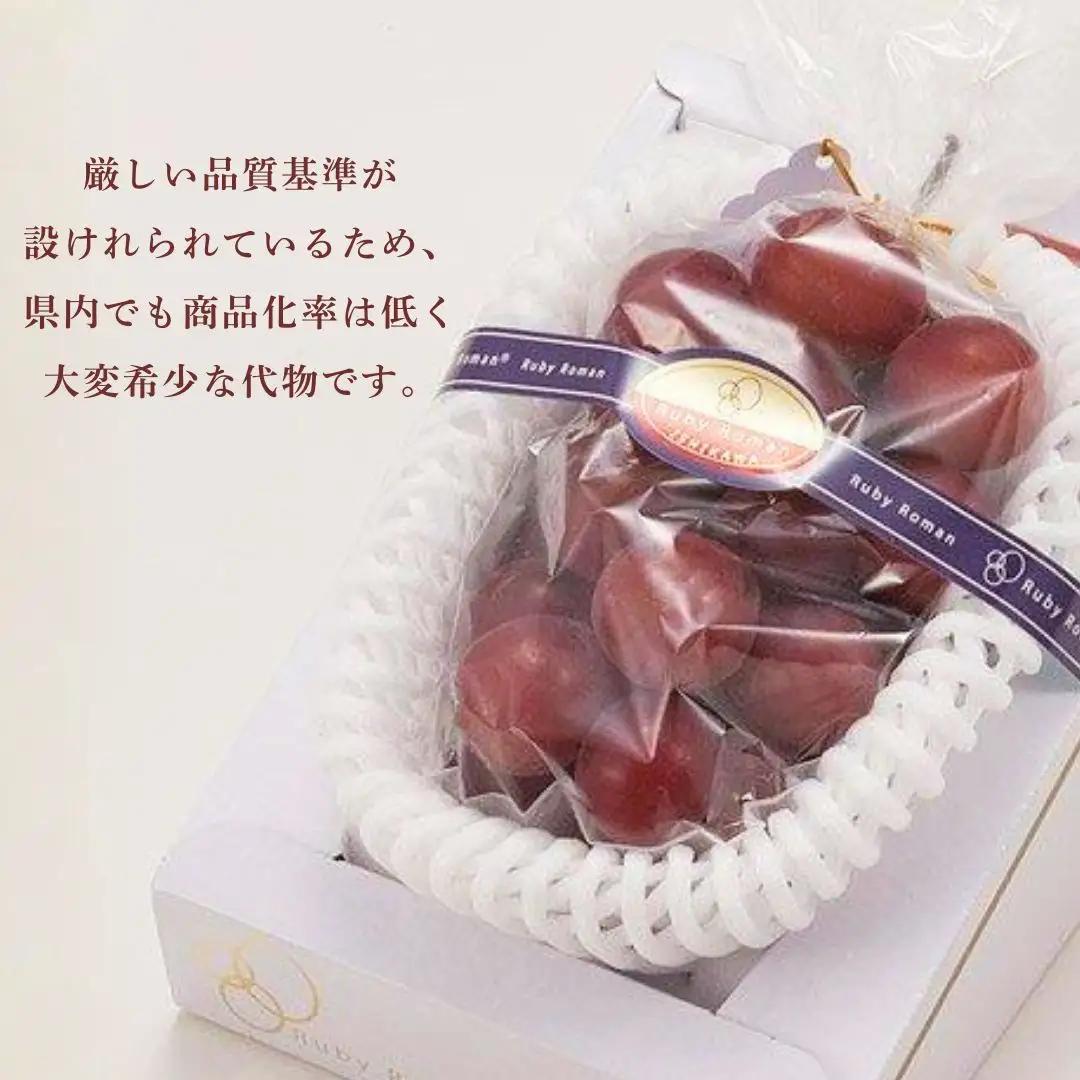 2026年 先行予約 ルビーロマン ぶどう 1房 500g 以上 fx001n00