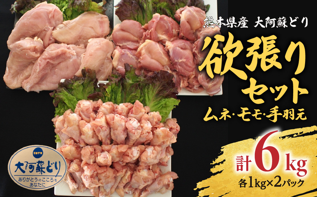 熊本県産 大阿蘇どり 欲張り 6kg セット 鶏肉 モモ ムネ 手羽元