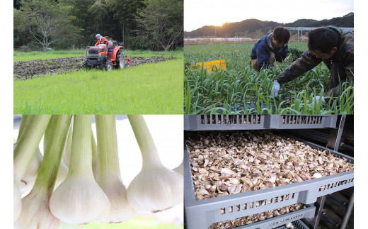 美と健康を追究した結果、無農薬・オーガニック栽培に辿り着き、当社では主原料の自社農園での有機栽培と無添加製造を貫いております。