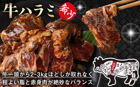 牛ハラミ タレ漬け900g_AA-3318_(都城市) 外国産 味付き牛ハラミ 300gパック 真空 小分け 900g
