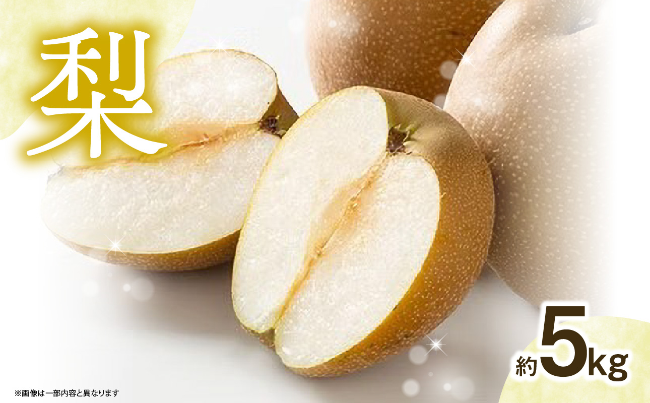 【先行受付】梨（5kg）｜2026年9月下旬～発送予定 なし 梨 旬 フルーツ 果物 くだもの 福岡県 八女市