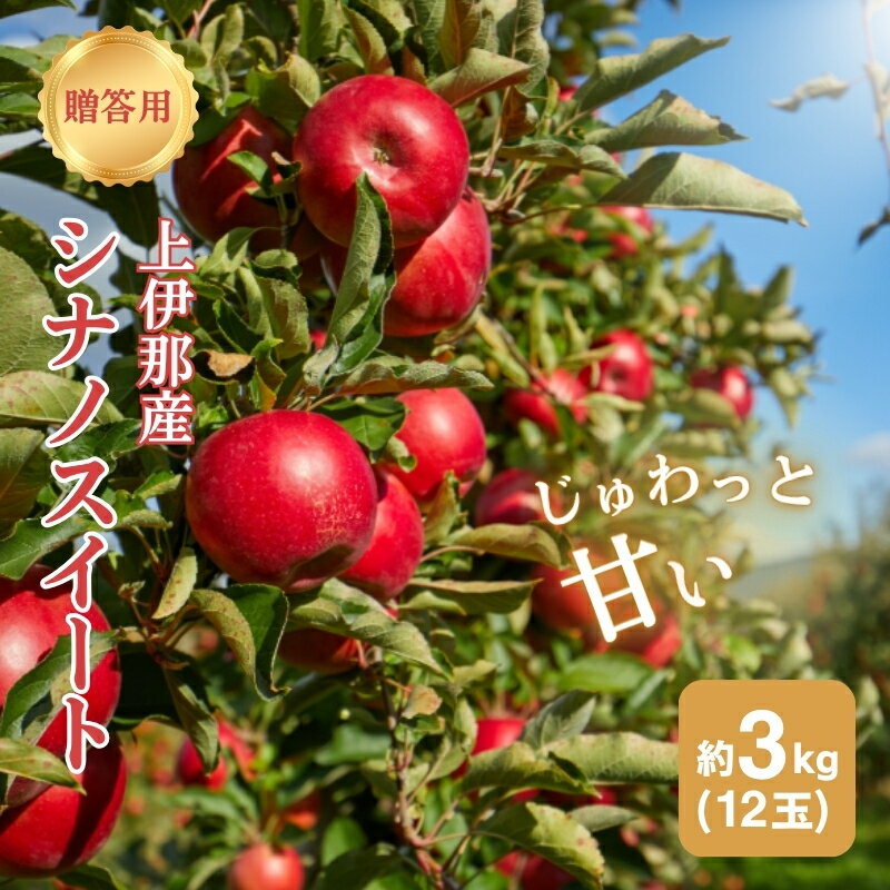 【ふるさと納税】りんご 長野 贈答用 リンゴ シナノスイート 約3kg （12玉） 産地直送 ギフト プレゼント 贈答 贈答品 贈り物 フルーツ 果物 デザート 林檎 秋 旬 信州 長野県 長野県産　お届け：2025年10月中旬～11月末頃