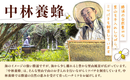 勝浦産 非加熱の生ハチミツ(430g)ハチミツスプーン付き【1071780】