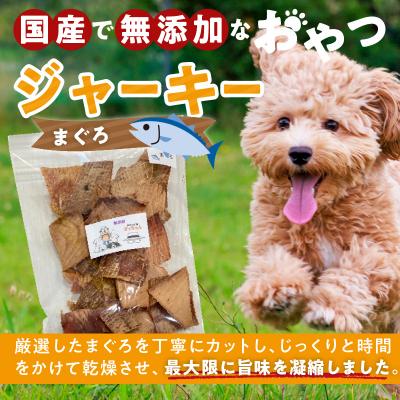 ふるさと納税 小牧市 【大容量】犬猫用 ペットフード 国産無添加おやつジャーキー まぐろ 540g(魚)[143O22] |  | 01