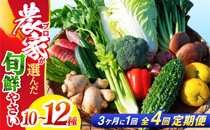 【4回定期便】高知県産 土佐季節の野菜詰め合せセット/3ヵ月に1回 野菜 定期 お野菜 高知 やさい 季節もの【香稜苑】 [ATBQ010]