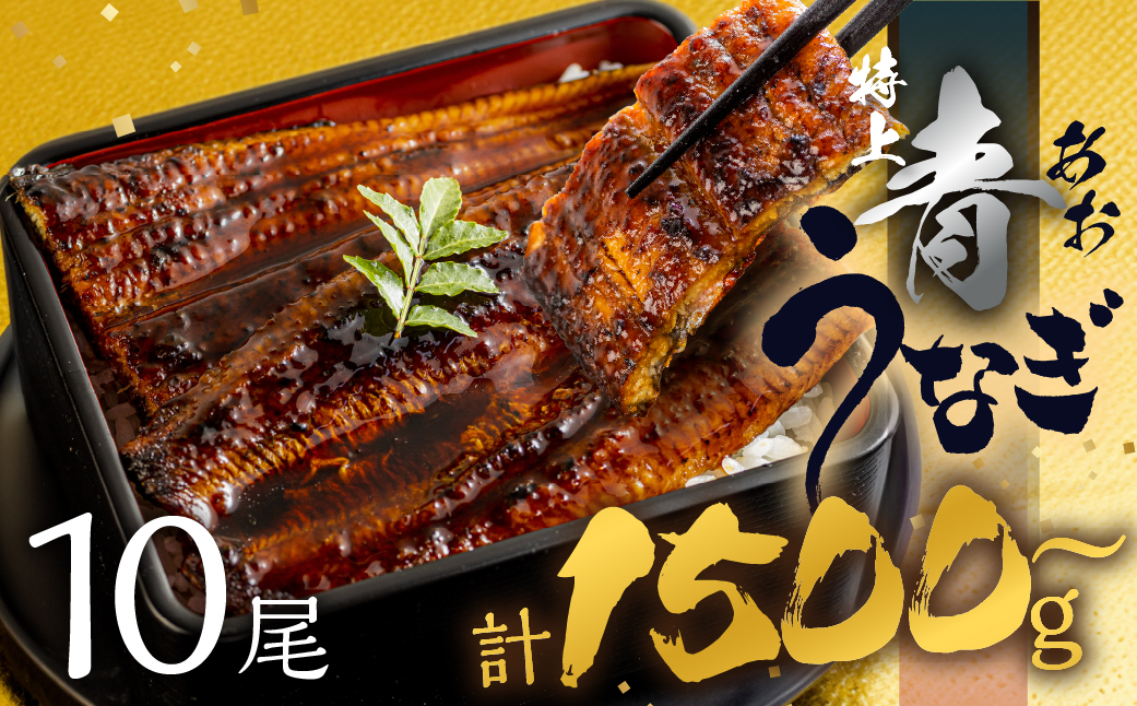 【すぐにお届け/冷蔵】厳選 高級 青うなぎ 10尾 蒲焼 1500g