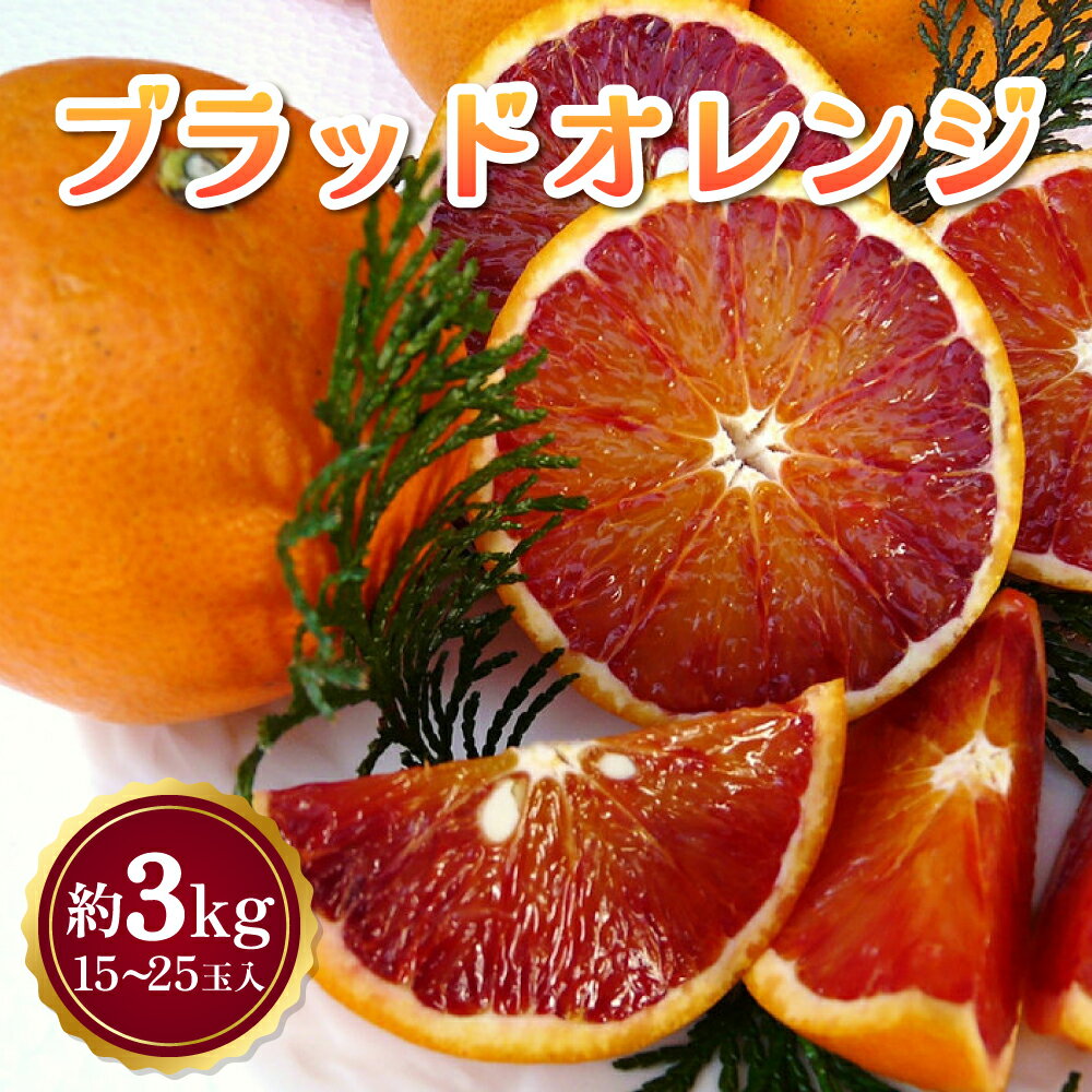 【ふるさと納税】 先行予約 ブラッドオレンジ 約3kg 15玉〜25玉 吉田レモニー オレンジ 柑橘 みかん 宇城市産 熊本県産 九州産 国産 送料無料 【2026年3月上旬頃～2026年4月下旬発送】
