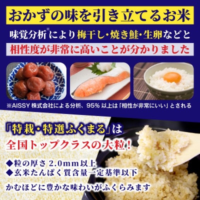 【先行予約・9月以降順次発送】令和7年 ひたちなか市産 特栽・特選ふくまる(玄米)10kg×1袋