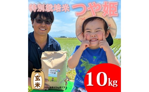 【令和8年産・玄米】ecofarmすがわらの特別栽培米つや姫10kg　※10月下旬ごろから順次発送開始