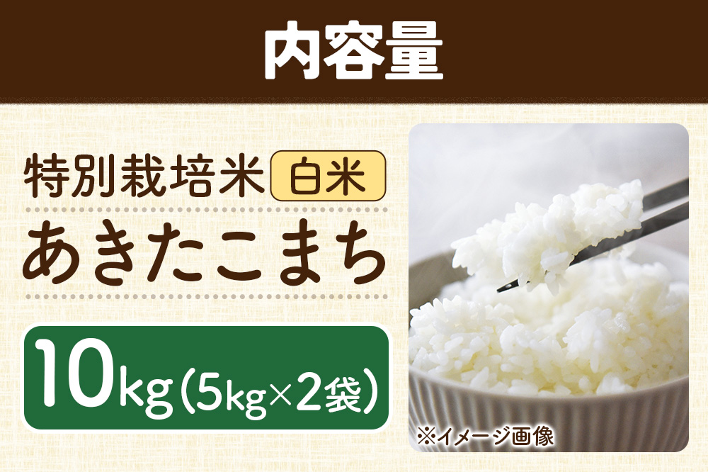 秋田県 横手市 【白米】令和7年産 秋田県産 特別栽培米 あきたこまち 10kg（5kg×2袋）