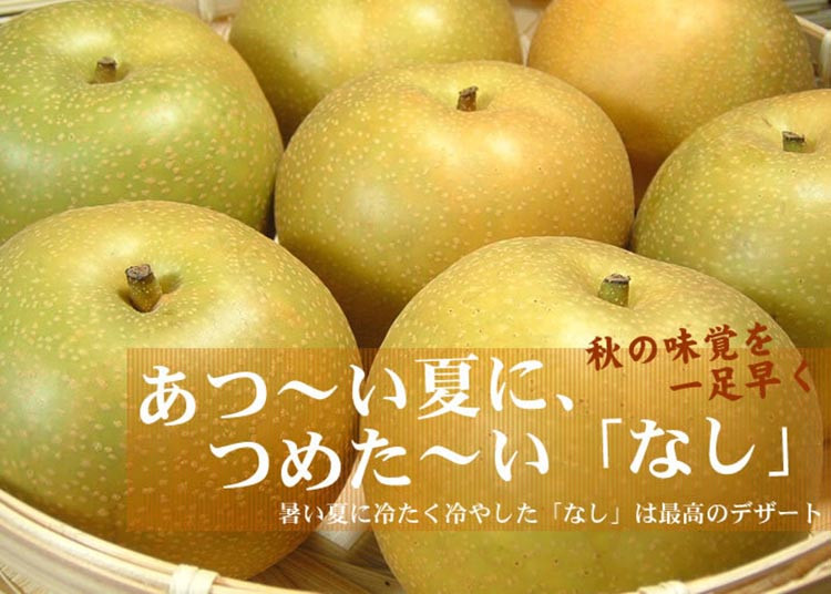 
和歌山の梨（なし）豊水品種 [約4kg]【秀品：サイズおまかせ】和歌山県産 フルーツ 紀伊国屋文左衛門本舗 ※着日指定不可 ※2024年8月中旬～9月上旬頃に順次発送予定
