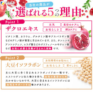 F-62　[ファイン]ザクロ粒　２個セット
