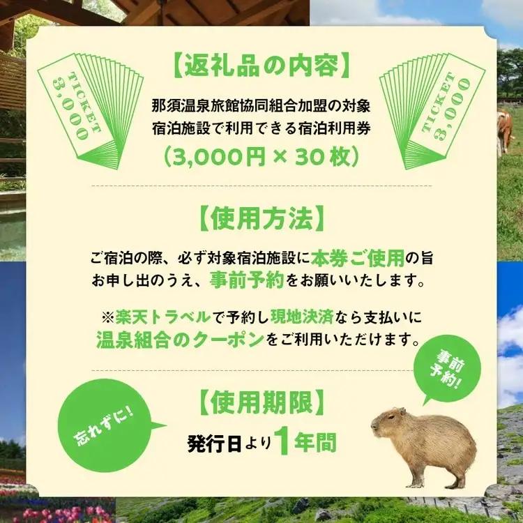 栃木県那須町で使える 共通宿泊利用券 90,000円分（3,000円×30枚）〔K-7〕｜宿泊 旅行 チケット 宿泊券 温泉 露天風呂 旅行券 ホテル 観光 国内旅行 那須 栃木県 那須町
