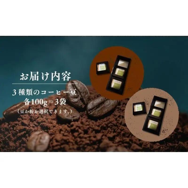 コーヒー 自家焙煎 3種セット 100g 3袋 珈琲豆 コーヒー 豆