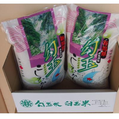 ふるさと納税 糸魚川市 令和7年産 勾玉米こしひかり精米5kg×2袋