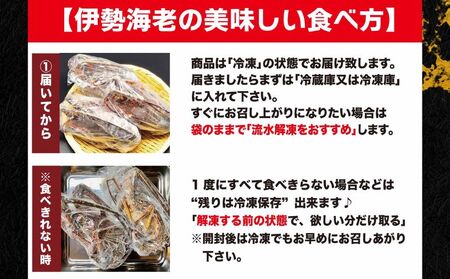 【 伊勢海老 】 活〆冷凍伊勢海老 3㎏