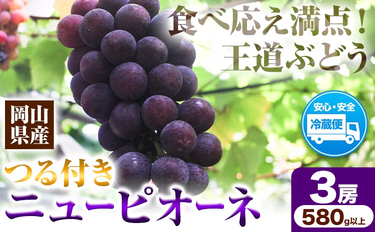 岡山県産ニューピオーネ 3房（580g以上） 先行受付 《年9月中旬-10月下旬頃出荷》 【配送不可地域あり】---H-77---