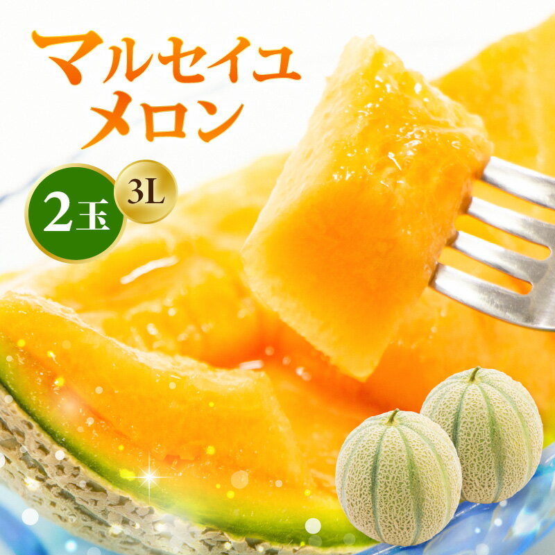 【ふるさと納税】【先行予約】 マルセイユメロン 3Lサイズ以上 × 2玉 (1玉あたり：約1～1.5kg) 福井県三里浜産 糖度15度【2025年6月上旬以降順次発送予定】【メロン めろん フルーツ 旬 デザート 果物 果実 赤肉 糖度 甘い ジューシー お取り寄せ グルメ 産地直送 ギフト】