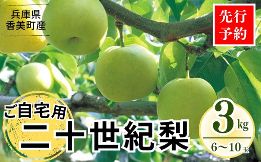 《2026年産 先行予約》 梨 二十世紀梨 香住梨 3kg ご自宅用 優品（Bランク）L～5Lサイズ混合6～10玉 【令和8年8月下旬以降発送予定】 20世紀梨 青梨 和梨  76-03