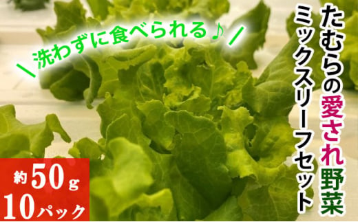 
[№5819-0257]洗わずに食べられる！たむらの愛され野菜　ミックスリーフセット　10個
