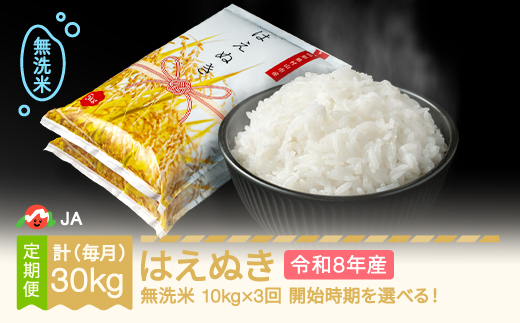 【先行予約】新米 米 はえぬき 毎月定期便 10kg×3回 無洗米 令和8年産 2027年1月上旬～ ja-hamxb10-m1to3a