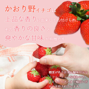 大竹農園直送　朝採れイチゴ「かおり野」 ４パック（箱入り）