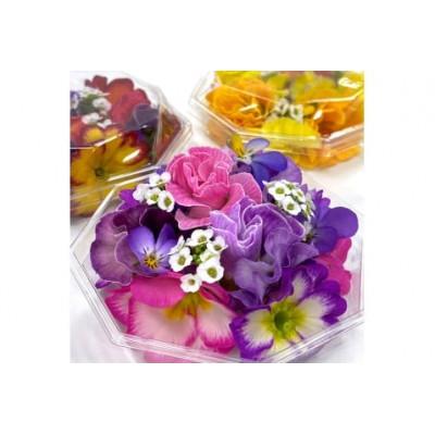 ふるさと納税 伊勢原市 農家直送!加藤さんちのエディブルフラワー 3パック (1パックあたり季節のお花15輪から30輪) |  | 02