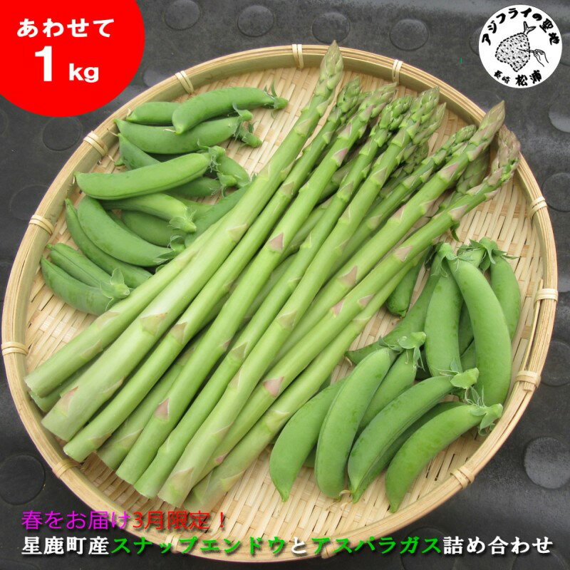 【ふるさと納税】【 先行予約 】★2026年春3月お届け★星鹿町産スナップエンドウとアスパラガス詰め合わせ1kg【A9-041】