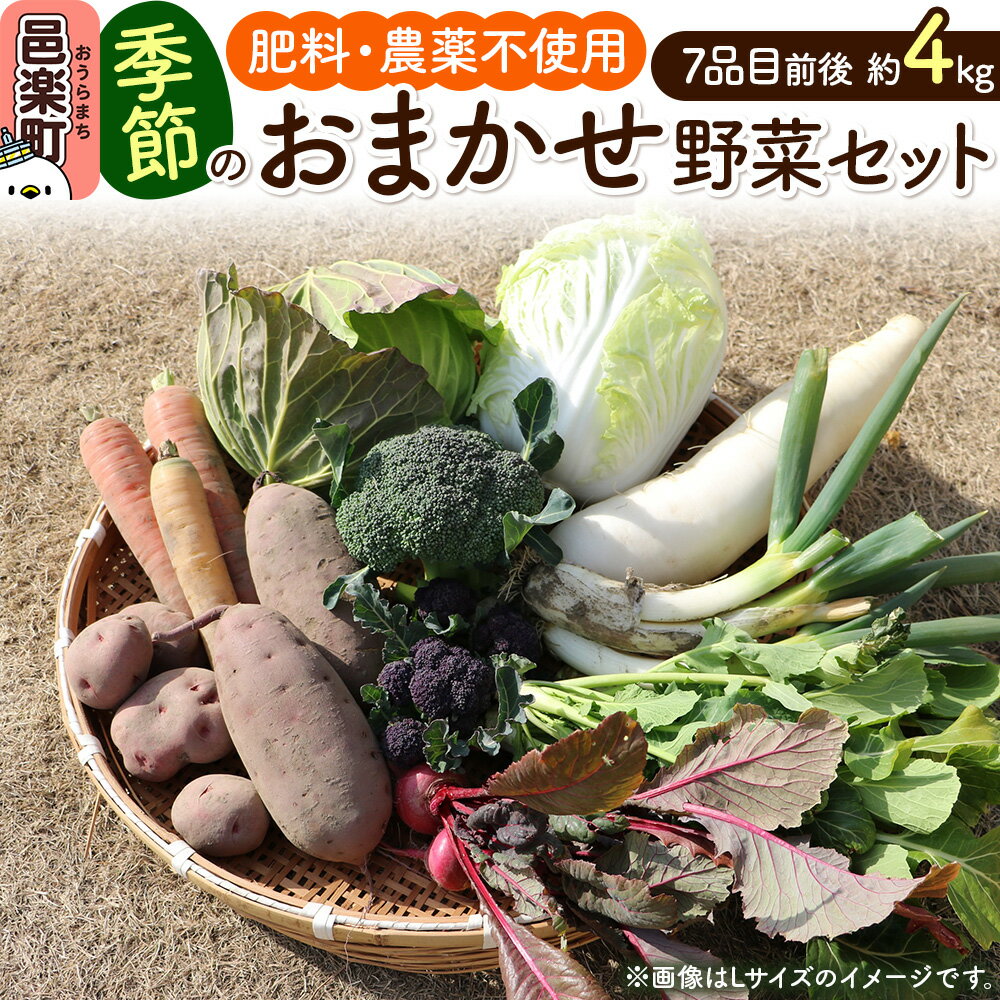 【ふるさと納税】自然栽培 秋冬 季節のお任せ野菜セット Mサイズ