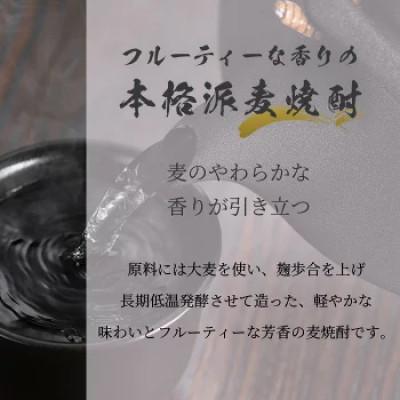 ふるさと納税 鹿島市 麦焼酎　舞ここちHAWKSラベル　900ml |  | 01
