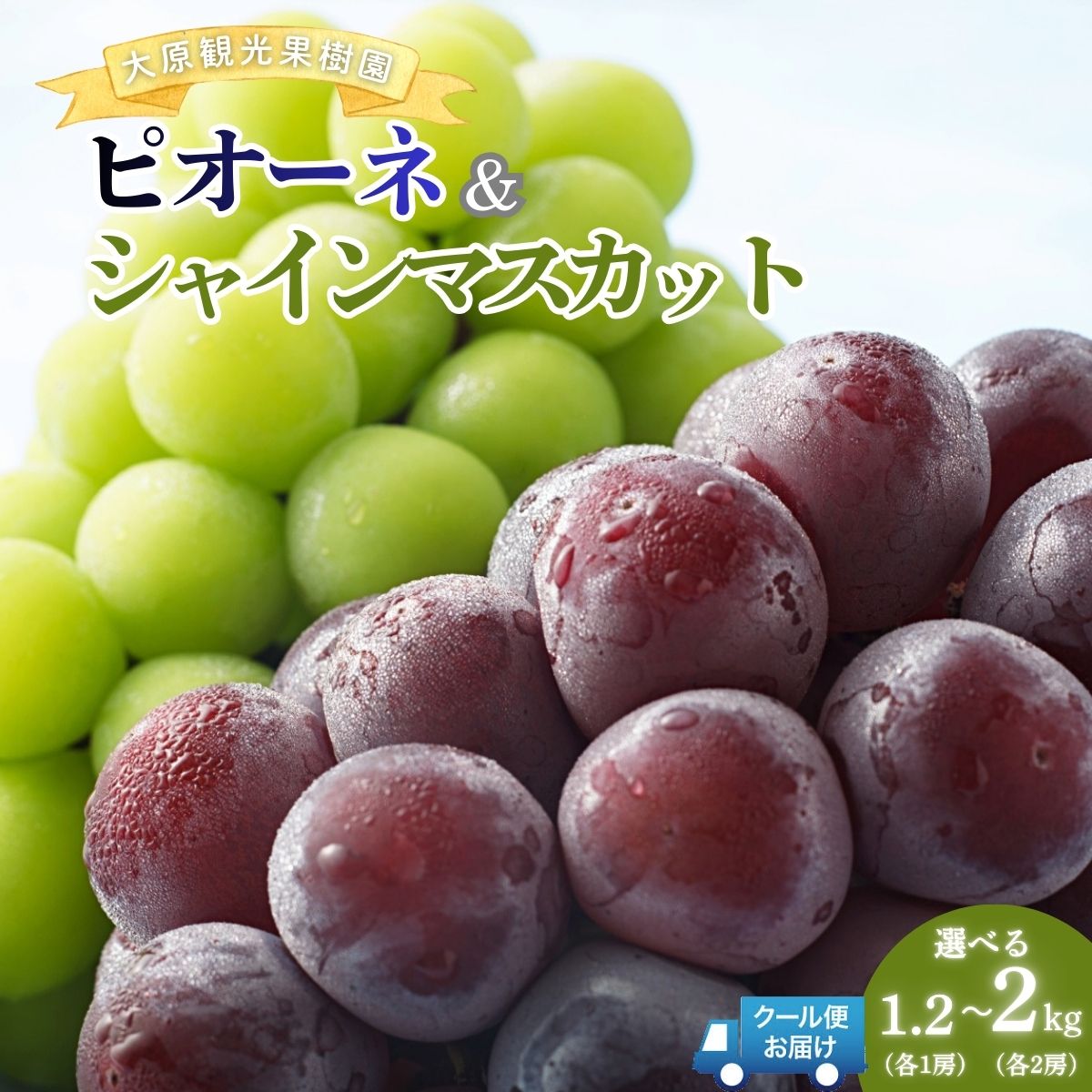 【ふるさと納税】＜選べる容量＞【2026年先行予約】［大原観光果樹園］ピオーネとシャインマスカット（セット） 「ピオーネ1房とシャイン1房（約1.2kg）」or「ピオーネ2房とシャイン2房（約2kg）」