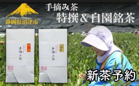 茶葉 お茶 手積み 新茶 予約 特選 自園銘茶 100g 2袋 静岡県産 自然栽培 ※2025年5月以降発送