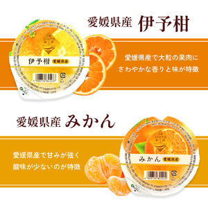 カップゼリーまるごと果樹園詰め合わせ5種12個セット（伊予柑、みかん、りんご、キウイフルーツ、さくらんぼ）No.12【柑橘 ゼリー 果肉 果実 果汁 果物 フルーツ 国産 愛媛県産 スイーツ おやつ 