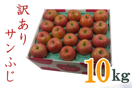 【2025年11月～12月発送】訳ありリンゴ（サンふじ）10kg（1箱2段詰）_H128(R7)