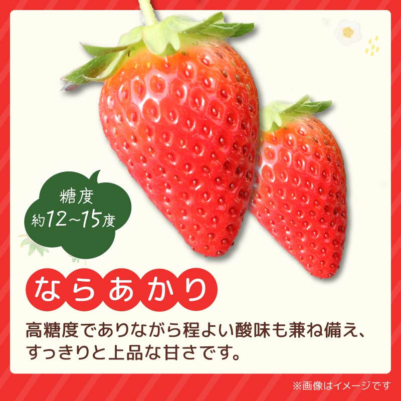 いちご ならあかり 古都華 セット 2027年 発送（270g×2パック）予約受付中 数量限定 早期終了 予定あり 家庭用 イチゴ 先行予約 苺 奈良ブランド苺 ブランド 古都華 大粒 苺 旬 産地 