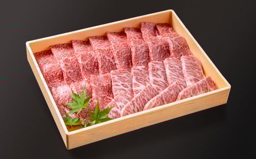 国産黒毛和牛 希少部位を含む特選焼肉セット 500g 部位おまかせ＜1.6-35＞牛肉 肉 黒毛和牛 ビーフ 西都市 決済完了後30日以内の発送