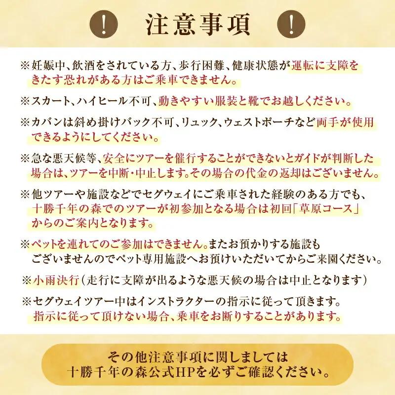 十勝千年の森 入場券＋セグウェイツアー券 1名分【北海道 清水町 自然 十勝千年の森 十勝毎日新聞社 ガーデン 入場券 セグウェイ セグウェイ社公認 ツアー レジャー おでかけ】_S030-0005