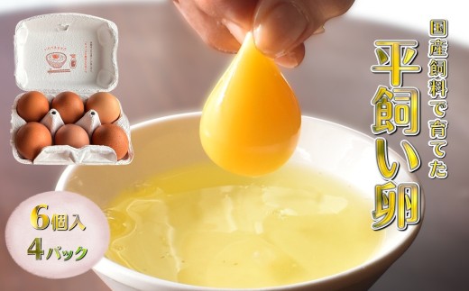 平飼い卵 新鮮たまご 6個入り 4パック 産卵後2日以内に発送 養鶏場直送