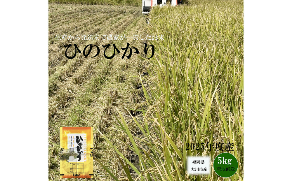 福岡県産米 ひのひかり 5kg （福岡県 大川市産）