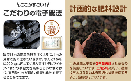 じゃがいも（キタアカリ）とたまねぎのセット 合計約10kg 北あかり 《10月中旬から順次出荷》橋枝物産 北海道　浦幌町