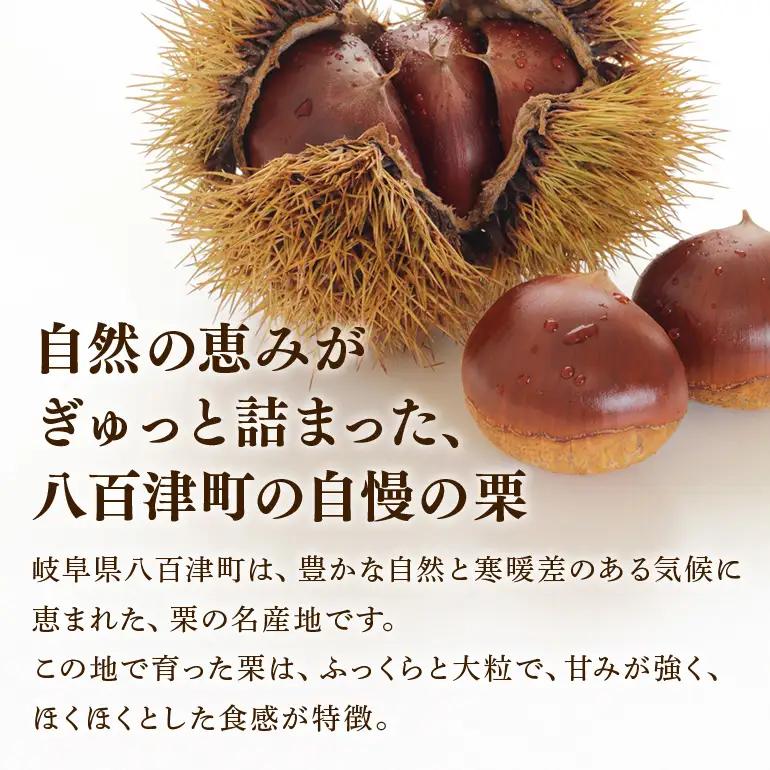 秋の自信作！銘菓「栗きんとん」15個入（藤乃屋）
