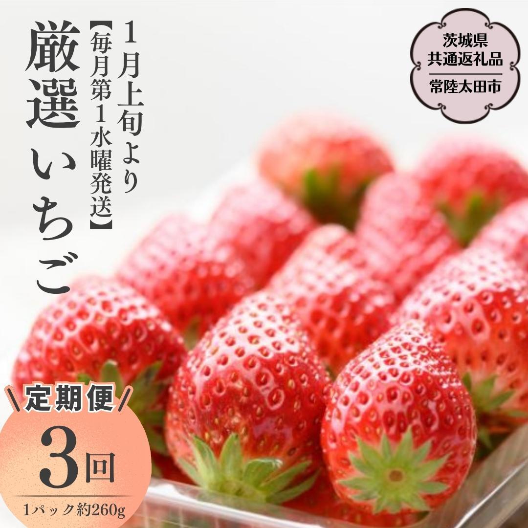 【ふるさと納税】《2026年 先行予約》【定期コース】厳選いちご 2パック ～ 4パック × 3回【第1水曜発送】（茨城県共通返礼品／常陸太田市) 2026年1月発送開始 フルーツ 苺 イチゴ いちご 新鮮 朝採れ 茨城県 桧山FRUITFARM