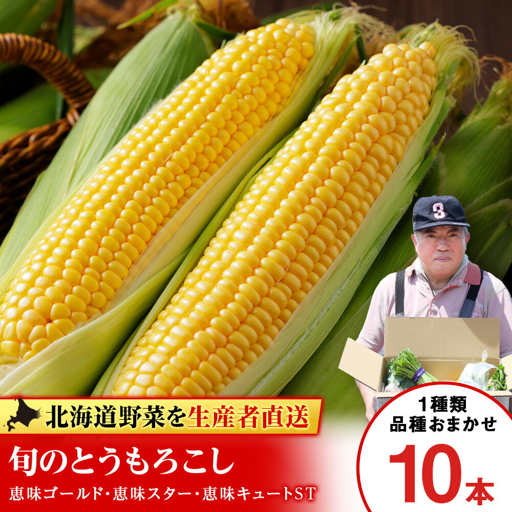 【ふるさと納税】 2026年夏発送 とうもろこし 10本セット（ゴールドラッシュ等）【土居ファーム】 野菜 とうもろこし【北海道千歳市】ギフト ふるさと納税