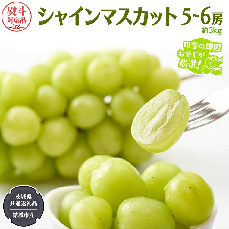 【ふるさと納税】 ＼ お中元 熨斗付／ シャインマスカット 約3kg 5〜6房 【2025年7月より発送開始】 （茨城県共通返礼品 [ぶどう]：結城市産） 田舎の頑固おやじが厳選！ マスカット 種なし 高糖度 ギフト お中元 甘い 美味しい フルーツ