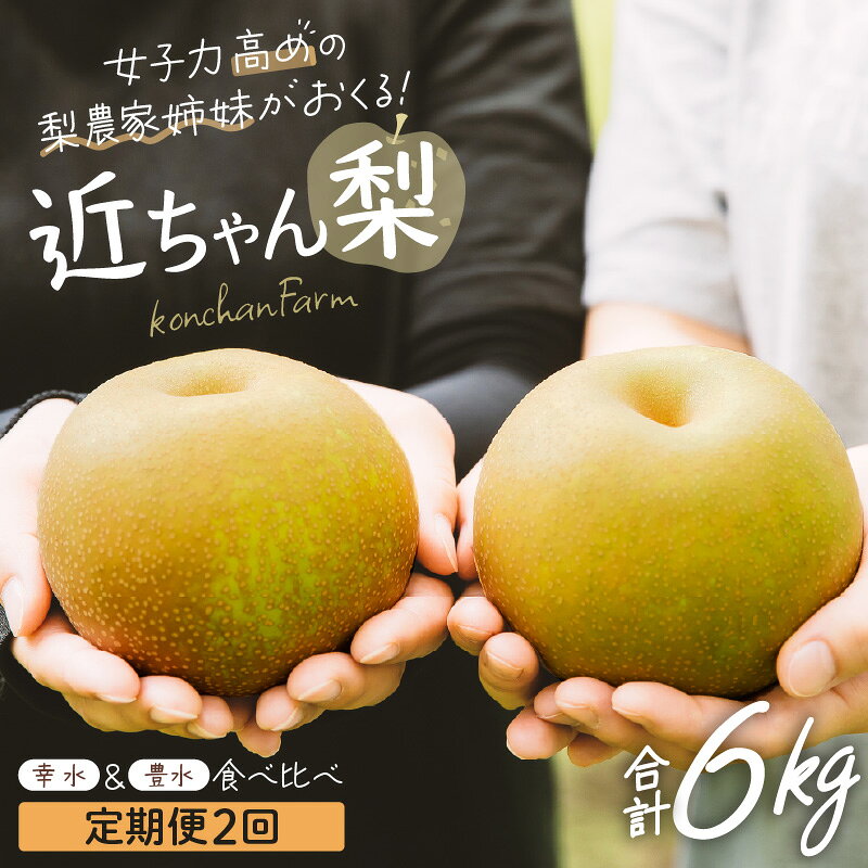 【ふるさと納税】【先行予約】近ちゃん梨 食べ比べセット 合計6kg 【幸水・豊水】 各3kg（ 6～ 8玉入り）【2027年8月中旬以降発送開始予定】【定期便2027年8月9月発送】【梨 なし フルーツ 甘い みずみずしい 果実 果物 新鮮 旬の果物 食べ比べ 詰め合わせ】