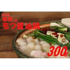 器楽のもつ醤油鍋セット(大牟田市)_肉 もつ鍋 牛肉 鍋 鍋セット  惣菜・加工品 肉 鍋 なべ ナベ_【配送不可地域：離島】【1523431】