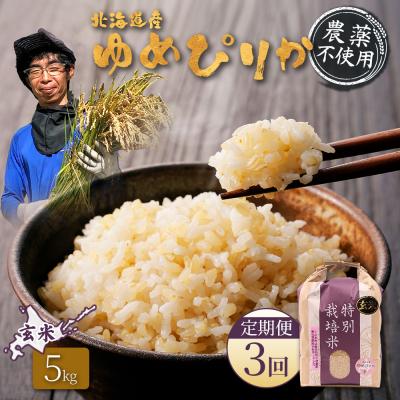 ふるさと納税 羽幌町 【定期便:3回】特別栽培米 ゆめぴりか玄米 5kg(栽培期間中無化学肥料・農薬不使用)【25138】